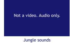 Jungle sounds  Not a video. Audio only.