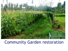 Community Garden restoration